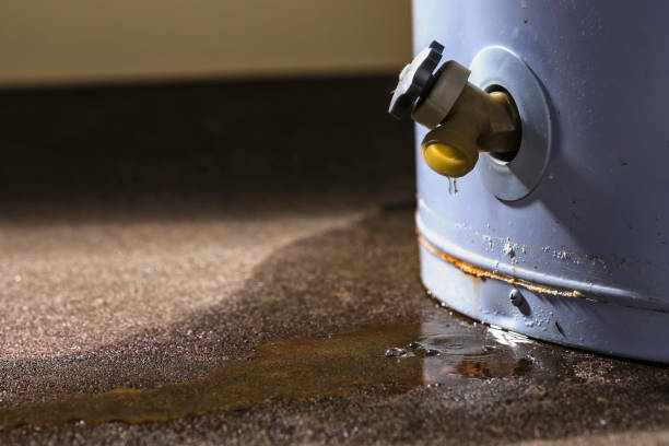 Best Water damage restoration near me  in Manchaca, TX