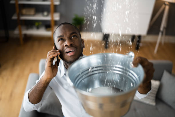  Manchaca, TX Water damage restoration Pros