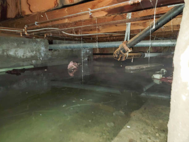 Best Water damage contractors near me  in Manchaca, TX