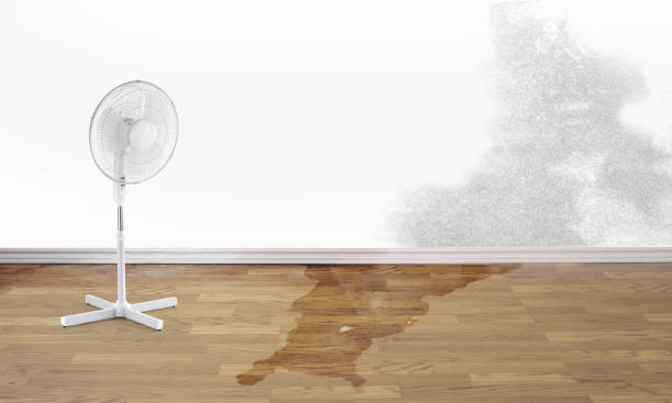 Best Flooded house restoration  in Manchaca, TX