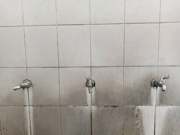 Best Flood damage cleanup  in Manchaca, TX