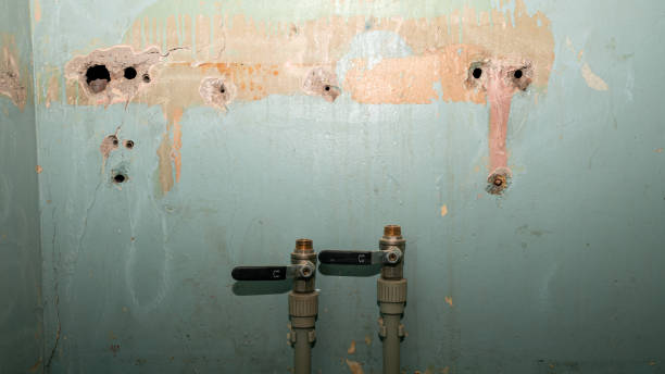 Best 24-hour water damage restoration  in Manchaca, TX