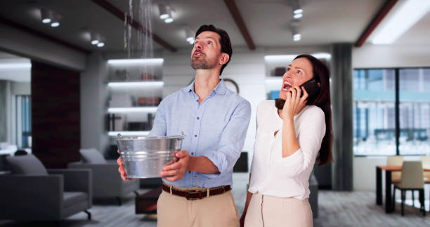 Best Professional water damage repair  in Manchaca, TX