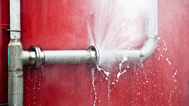 Best Mold removal after water damage  in Manchaca, TX